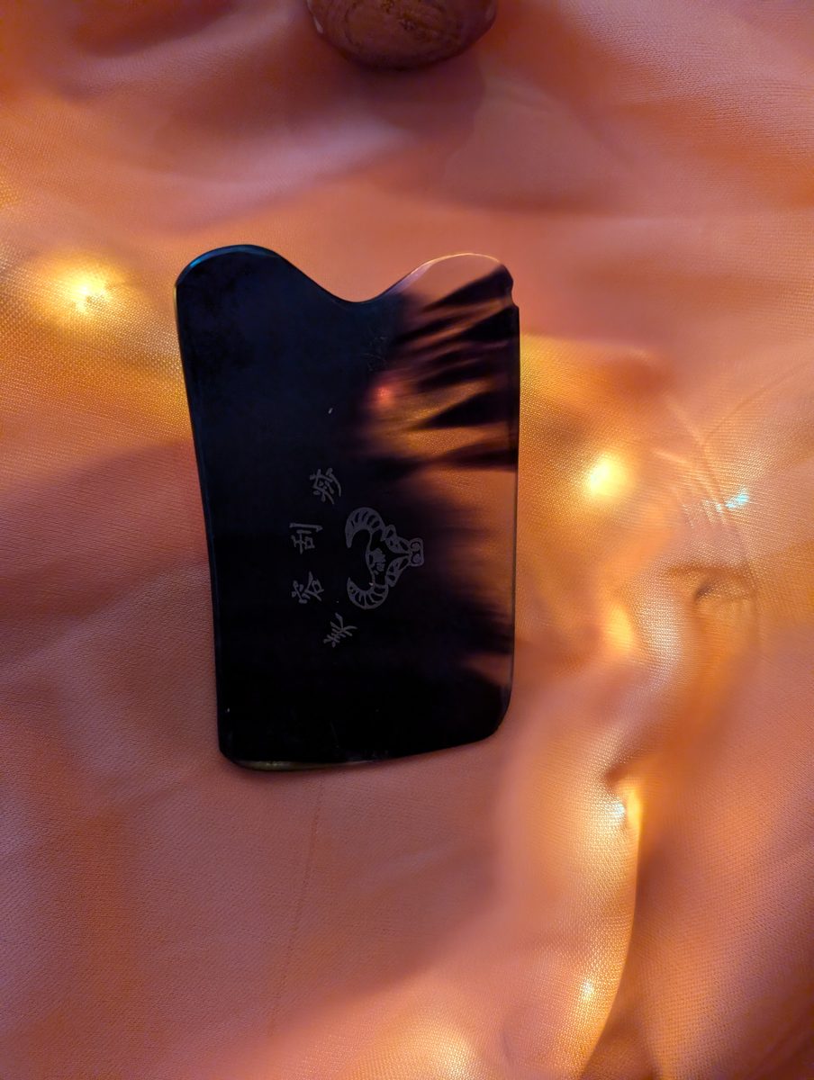Pierre de Gua Sha noire utilisée au salon Jia Xing